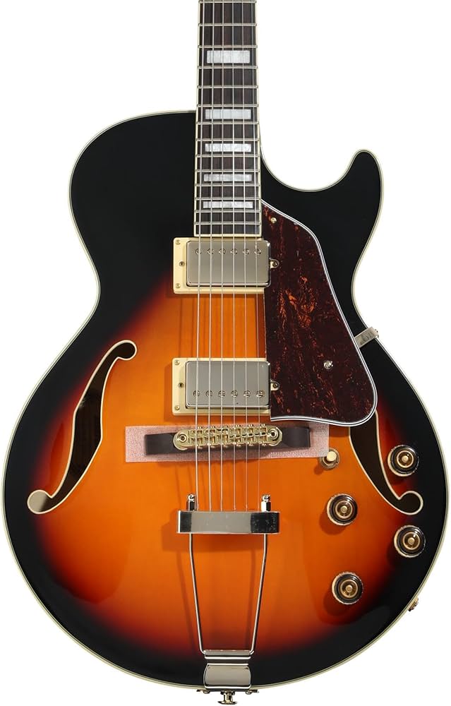 Ibanez ARTCORE AG75 BS ブラウンサンバースト フルアコ 楽天市場】Ibanez Artcore Expressionist AG75G -BS (Brown