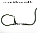 Dog Leash, Braided Rope Traction – Walking Training Lead for Small Dogs ((1/3") x 6FT, Dark Green)