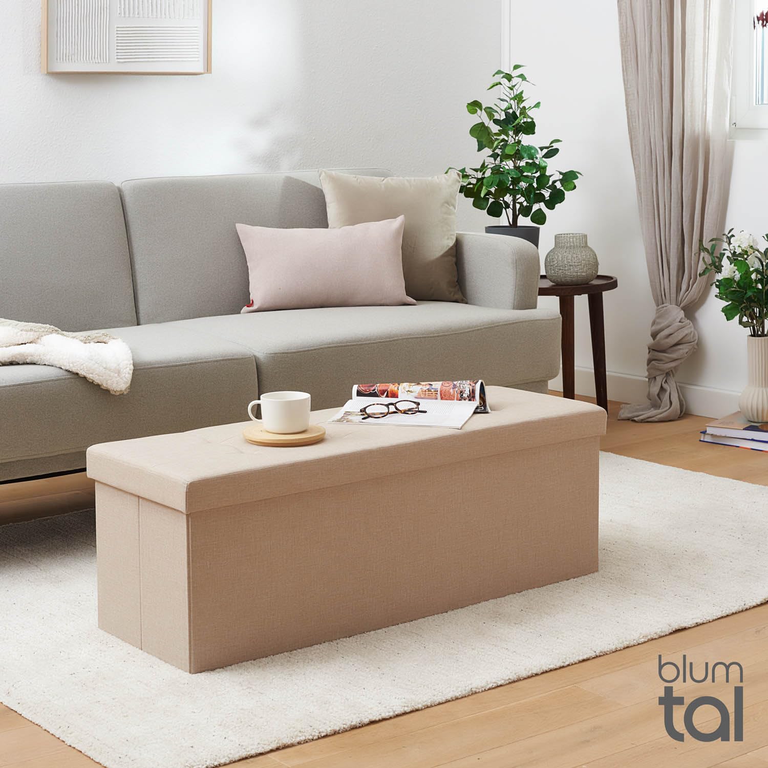 Blumtal Banco con Almacenaje, Banco Puff con Espacio de Almacenamiento, con 2 Cajas, Asiento Plegable y Resistente, Beige
