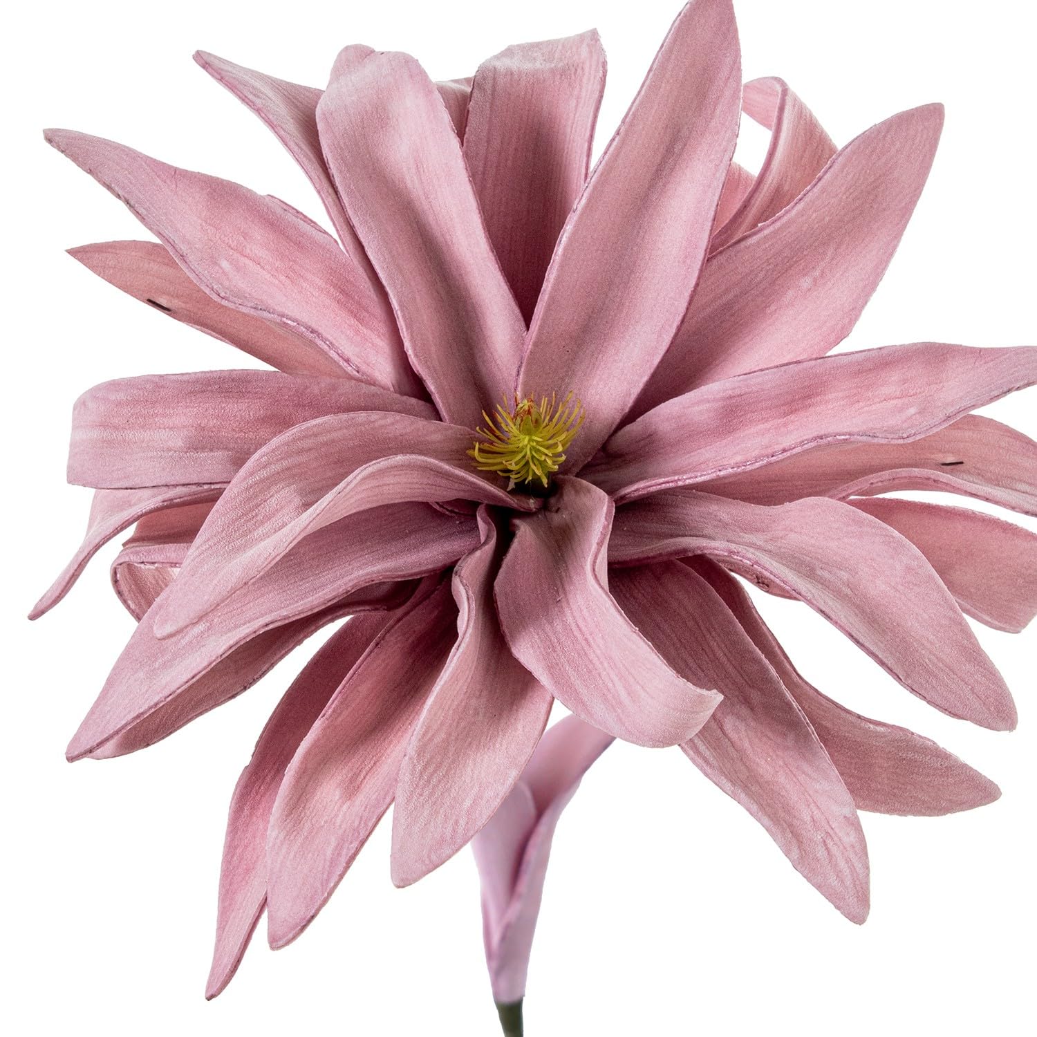 Fleurs artificielles en mousse EVA violettes : l'excellence signée DRW