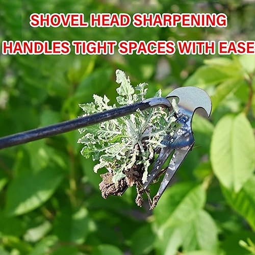 Miniatura 3 de Japelessor Desmalezadora de 4 dientes de doble propósito, nueva herramienta de deshierbe de desarraigo de raíz, extractor de malezas forjado de