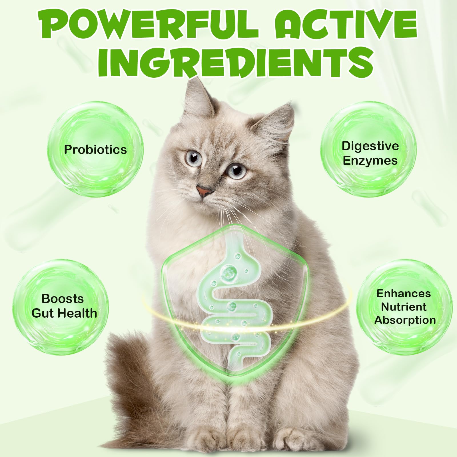 3 in 1 Cat Probiotics Drops 60ml - Image 3