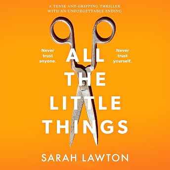 All the Little Things Audiobook by Sarah Lawton episode artwork