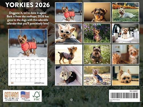 Vista 162 de Calendario Goldendoodle 2026 Golden Doodle mensual de pared calendario de 12 meses Fabricado en Estados Unidos