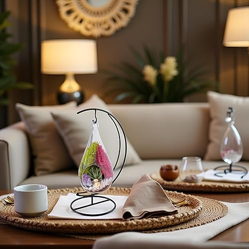 Miniatura 7 de Creations by Nathalie - Kit de terrario suculento de cristal de lágrima de 7 pulgadas para niños y adultos, musgo de reno, cristal y rocas,