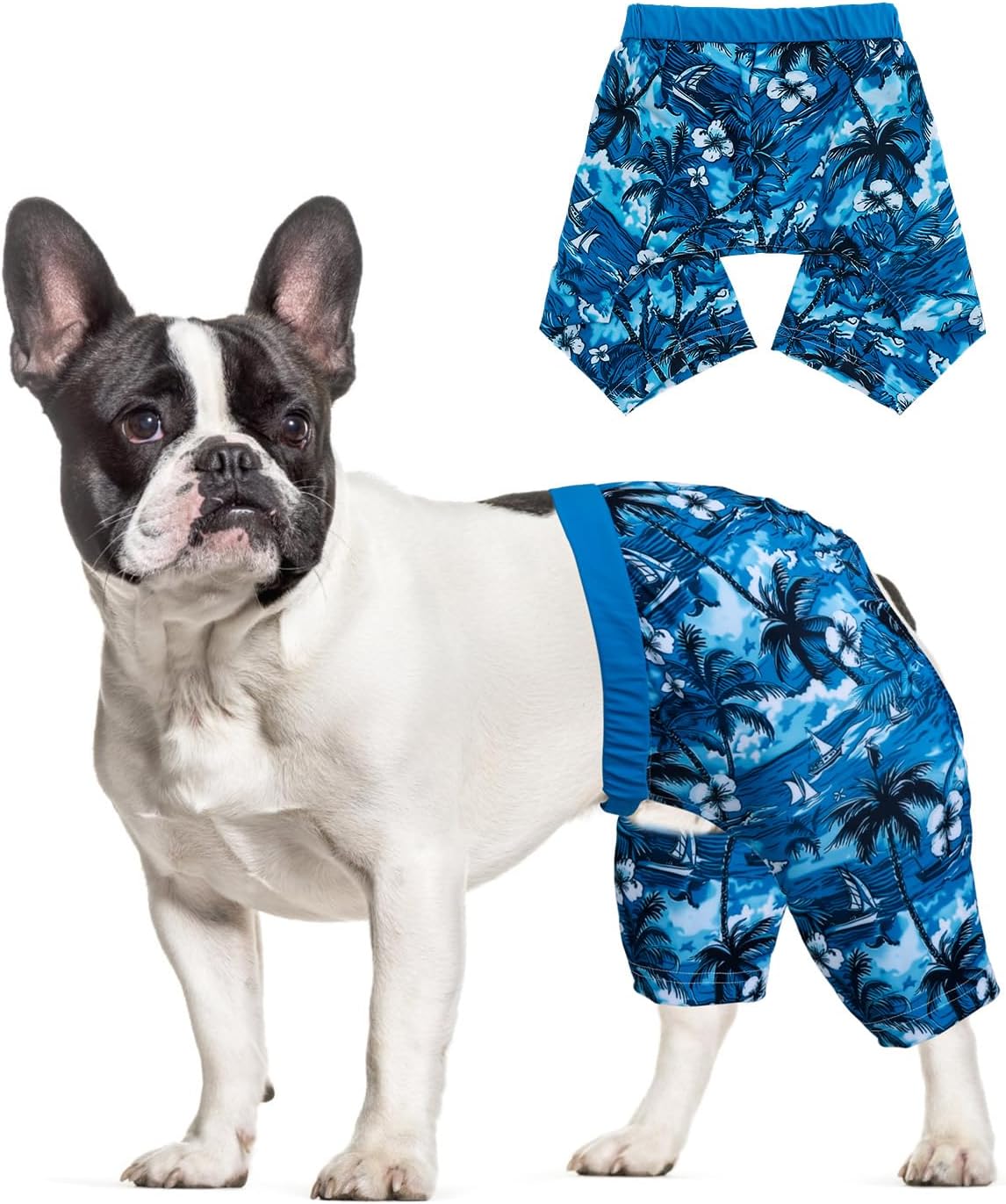 Bañador para Perro CuteBone Durable y Cómodo - Talla M, Color Waves