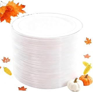 WELLIFE Silver Plastic Dinner Plates 72 Pieces, 10.25" Silver Disposable Plates, Premium Hard Plastic Lunch Plates, Ideal for Wedding and Party