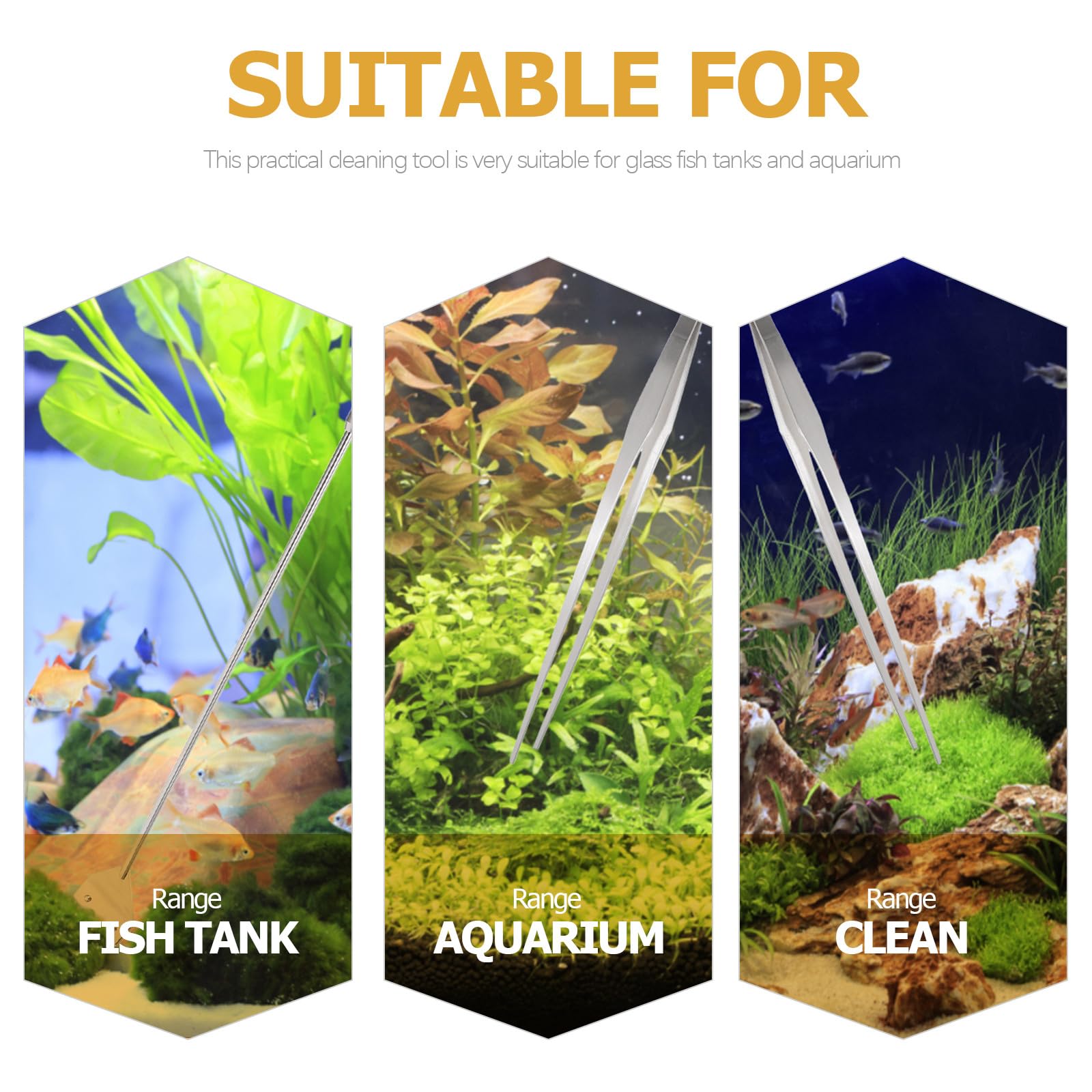 Abaodam Kit D'outils D'aquascaping et Grattoir à Algues Verre pour Nettoyage Rapide Pince et Ciseaux pour Aquarium en Métal Argenté