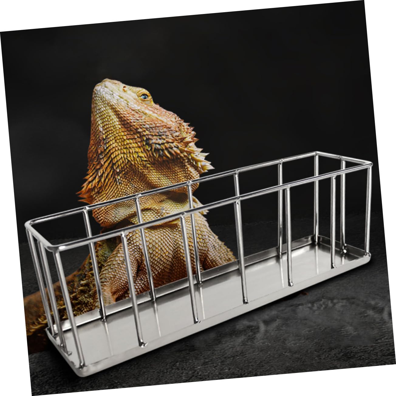 WOONEKY Comedero Inoxidable para Reptiles Plato Antideslizante para Tortugas y Alimentador De Ecológico y para Comida y Agua Diseño y Estable