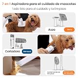 Ver la foto 2