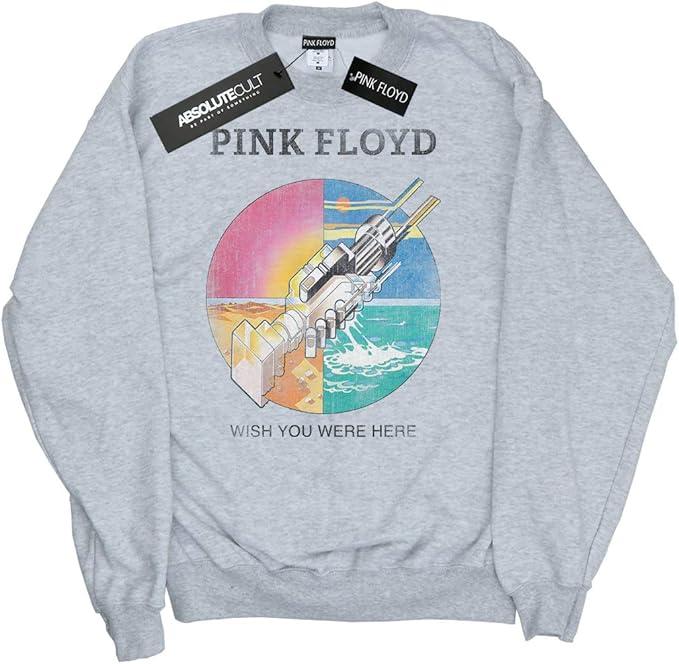 pink floyd moletom com capuz wish you were here