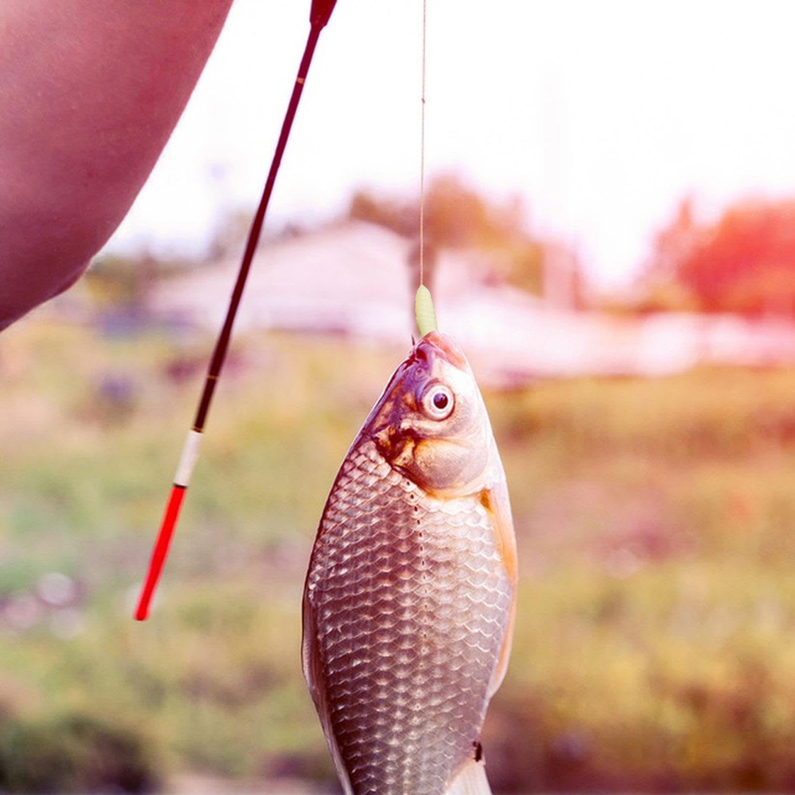 Amazon.co.jp: 10 個釣具 ウジ虫型 イモムシワーム ソフトワームセット