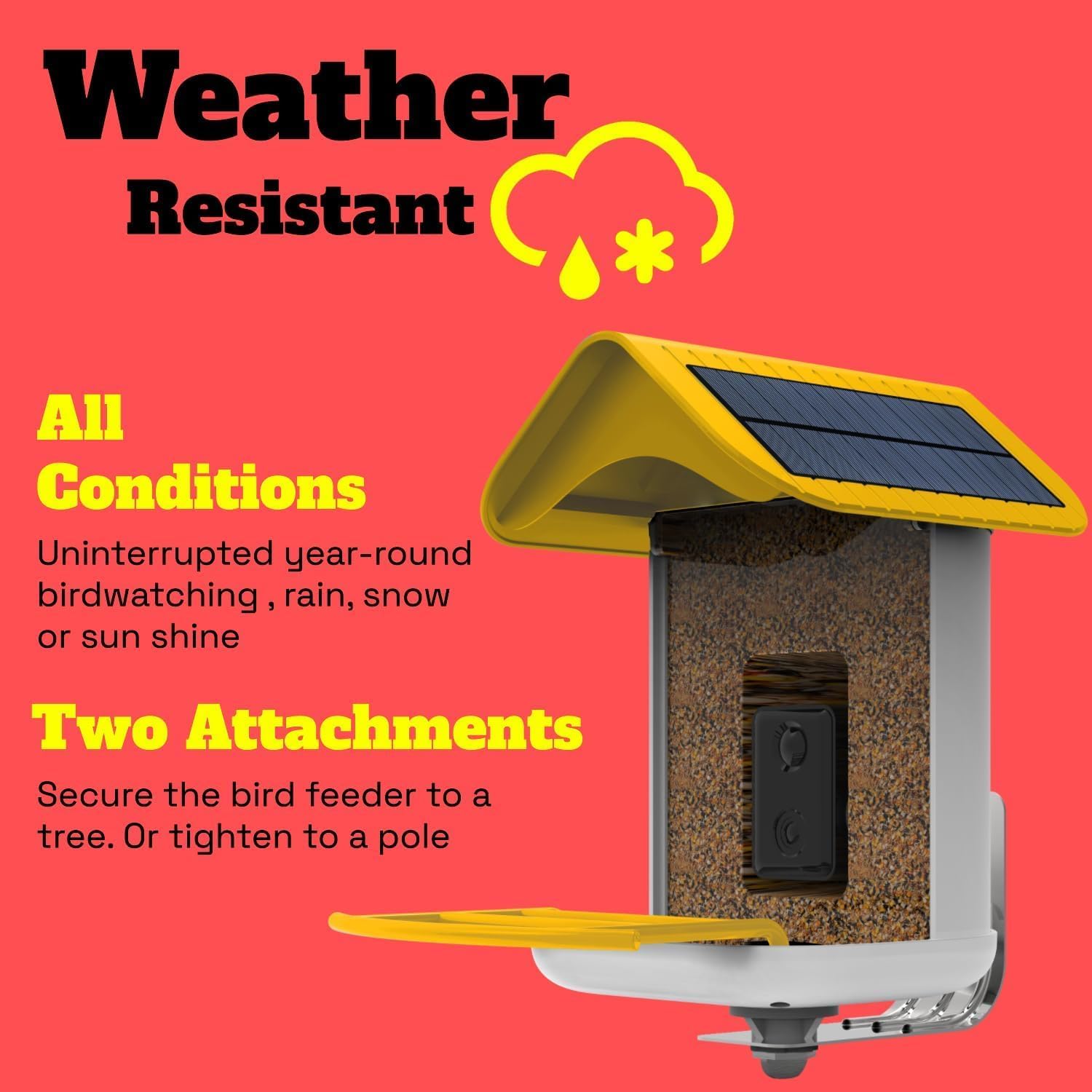 Smart Bird Feeder with Camera Solar Powered - 1080P HD Video Bird House with Lifetime Free AI Identify 10,000+ Species, Squirrel Proof Alarm, Color Night Vision, No Subscription, Gift for Bird Lovers