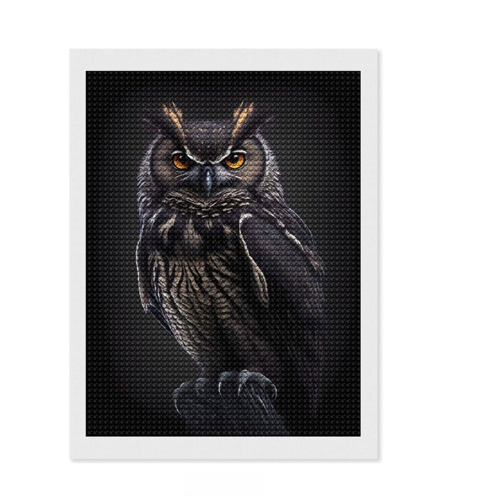 Junmoney Black Owl Diamond Painting Set 12"x16", Sparkling Round Gems, Satisfying Creative Project, Fun Craft Experience, Office Decor