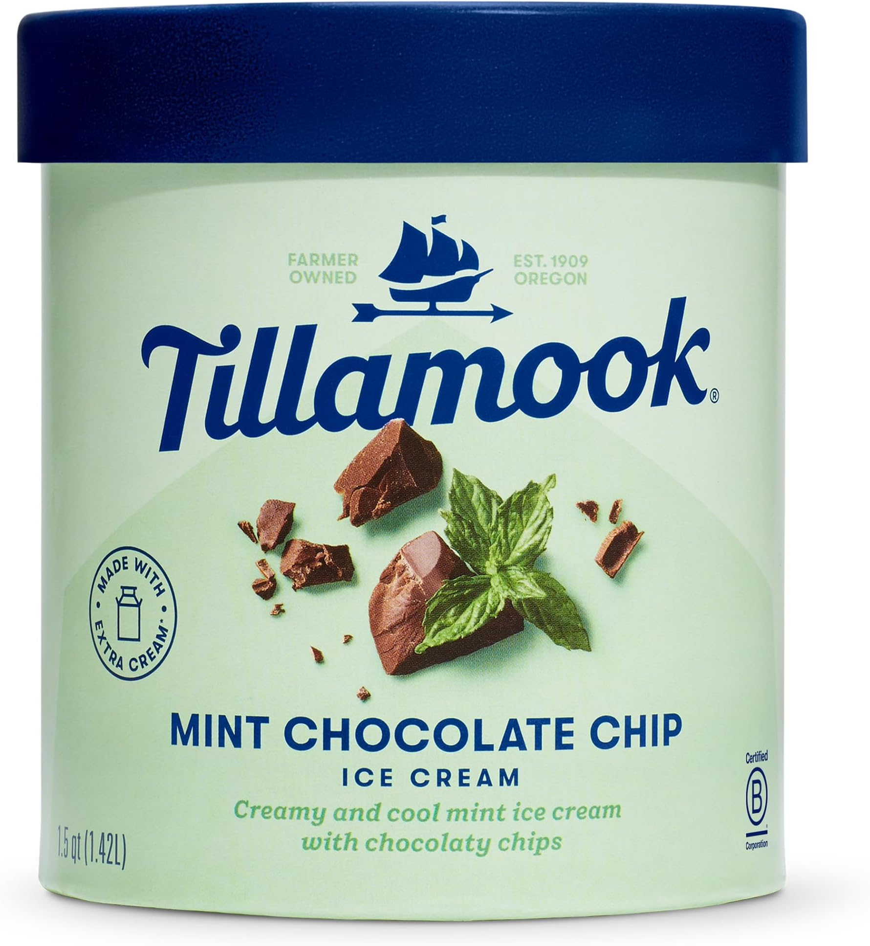 Tillamook Mint Chocolate Chip Ice Cream, 48oz