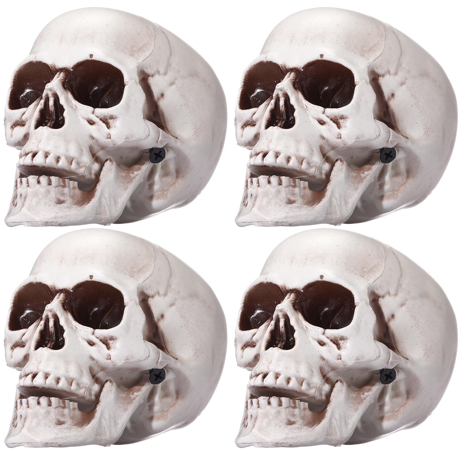 Sratte 4 Pcs Halloween Human Skull Model Adult Plastic Skull Decor Fake Head Decorations Realistic Head Bone Model Human Skeleton Statue (4.3 Inch)