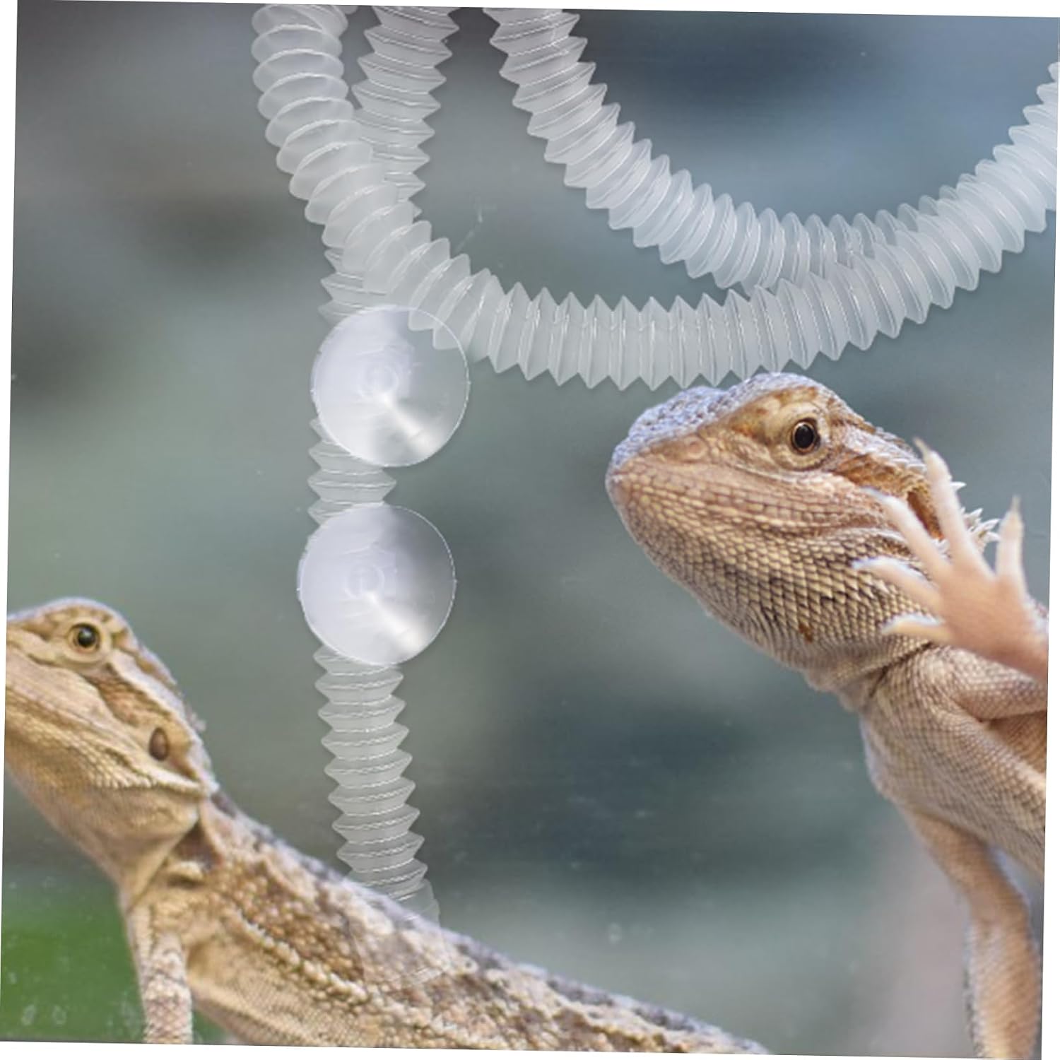 Levemolo Reptile Humidifier Extension Tube for Terrarium Aquarium Flexible Hose Suction Cup Replacement Part for Lizard Chameleon Leopard Gecko Tanks Accessories