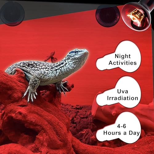 Miniatura 4 de Cenipar Bombilla infrarroja de 75 W, ideal para una amplia variedad de reptiles, anfibios, lagartos, tortugas, serpientes y otros animales, juego de