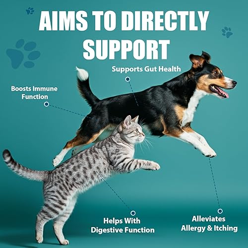 Miniatura 3 de ORAVELi Probióticos para perros - Probióticos para perros con prebióticos y enzimas digestivas, ayudan a reducir la salud, la salud digestiva y el