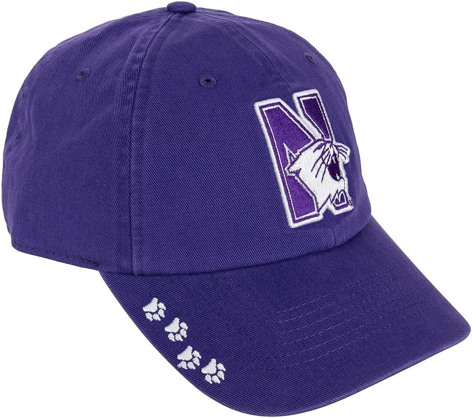 Desert Cactus Northwestern University Baseball Hat NU Wildcats Brimmed Embroidered Hats Cap Adjustable Cloth Strap Adult (Style O) Purple