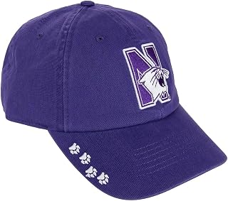 Desert Cactus Northwestern University Baseball Hat NU Wildcats Brimmed Embroidered Hats Cap Adjustable Cloth Strap Adult (Style O) Purple