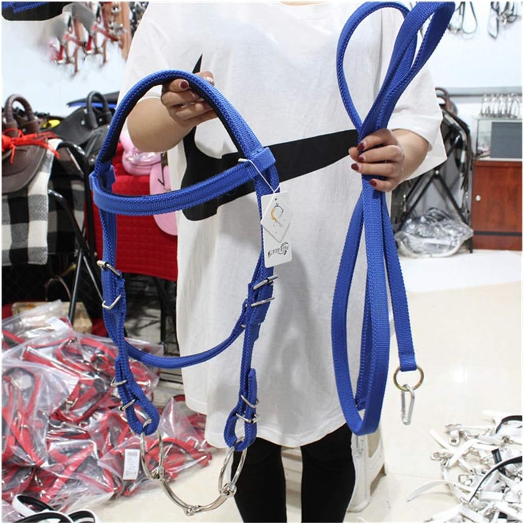 briglia per cavalli con briglie in blu