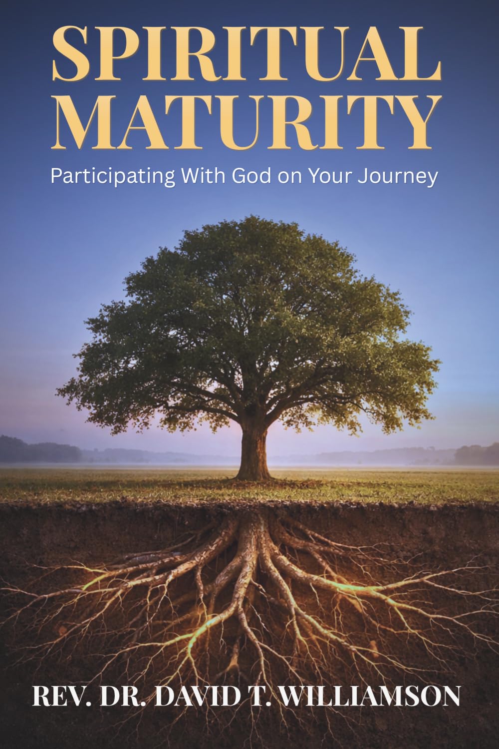 Spiritual Maturity: Participating with God on Your Journey
