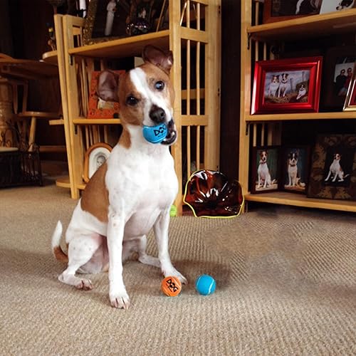 Vista 6 de Pelotas de tenis pequeñas para perros, 2.0 pulgadas, paquete de 6, pelotas chirriantes para perros de razas pequeñas, juguetes interactivos