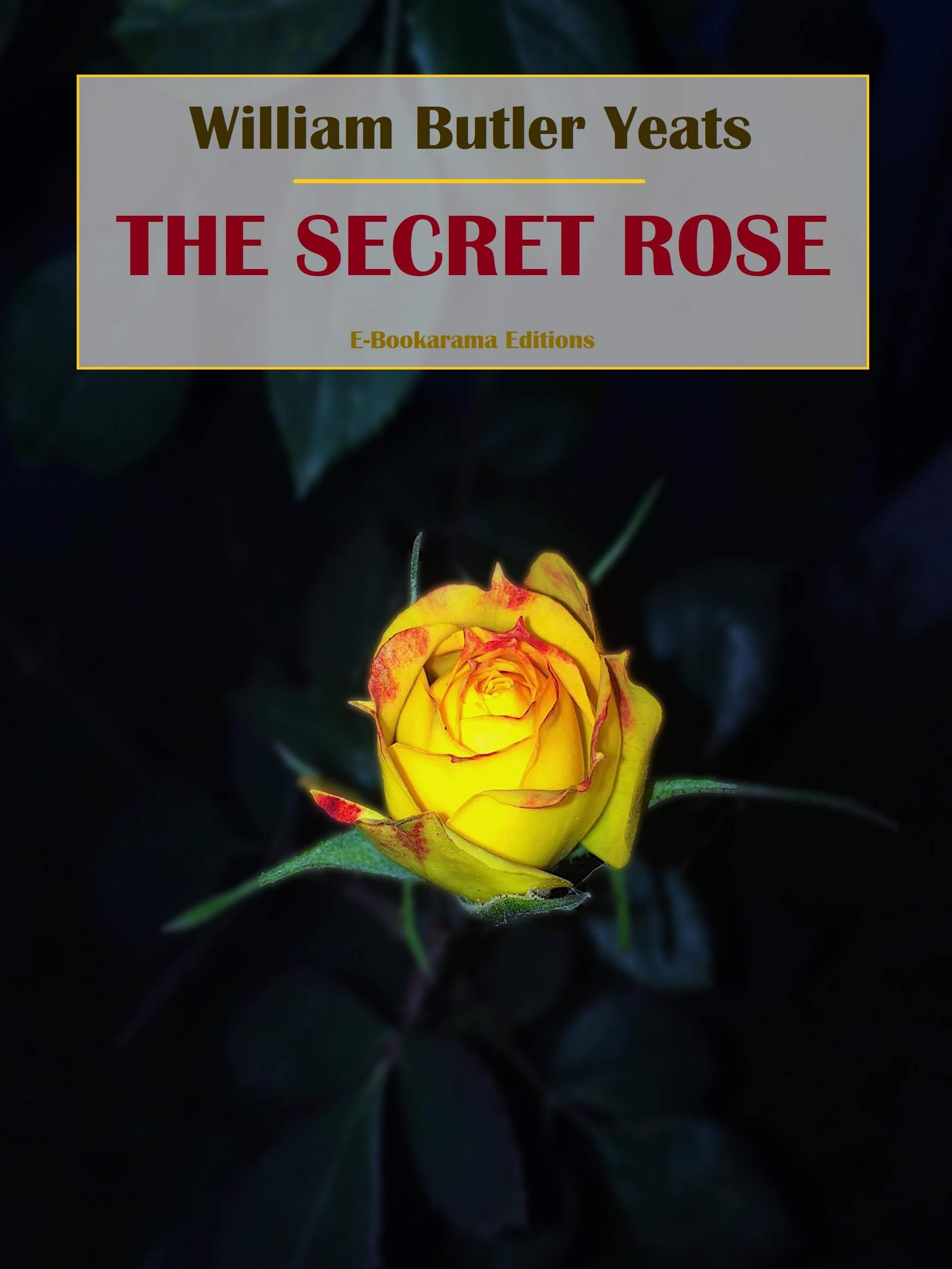 The Secret Rose