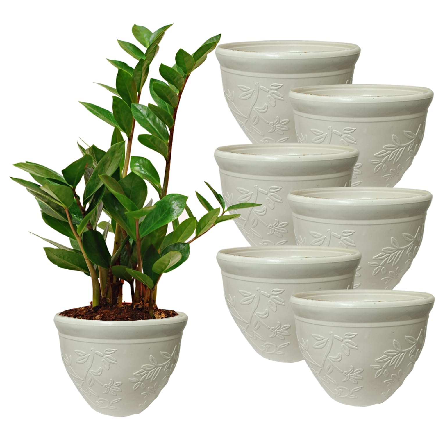 Aakriti European Style Pots, Plastic Plant Pots Succulent Planter Nursery Pots for Your Room,Garden Office and Balcony Decor (6pcs)