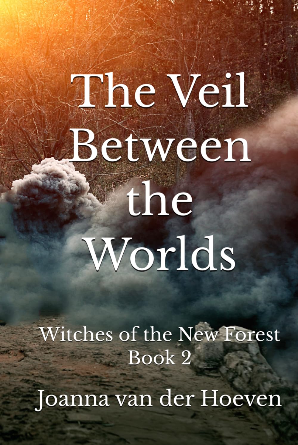 The Veil Between the Worlds: (Witches of the New Forest, Book 2)