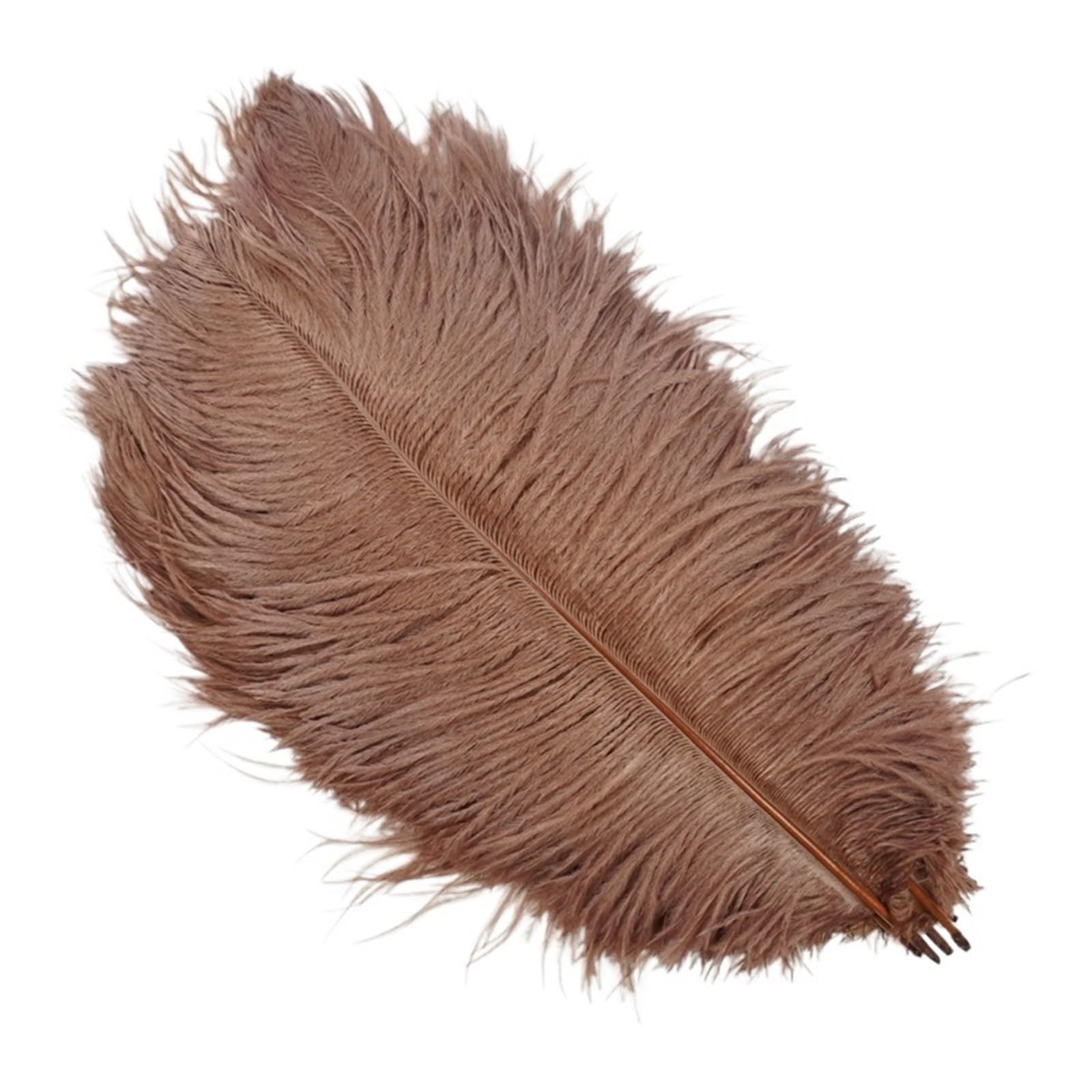 Ostrich Feathers 10Pcs Colorful Ostrich Feather Handicraft Accessories Dream Catcher Decoration Jewelry Creation Natural Plume Table Centerpieces(Brown,25-30cm 10-12inch)