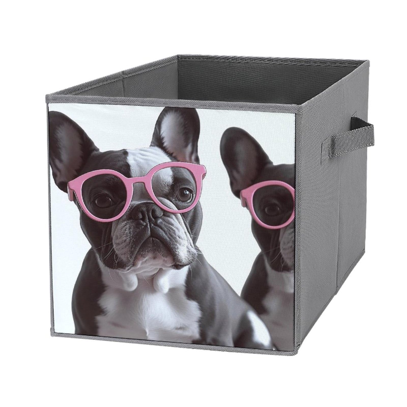 Bacs de rangement pour vêtements style bouledogue français pour dressing