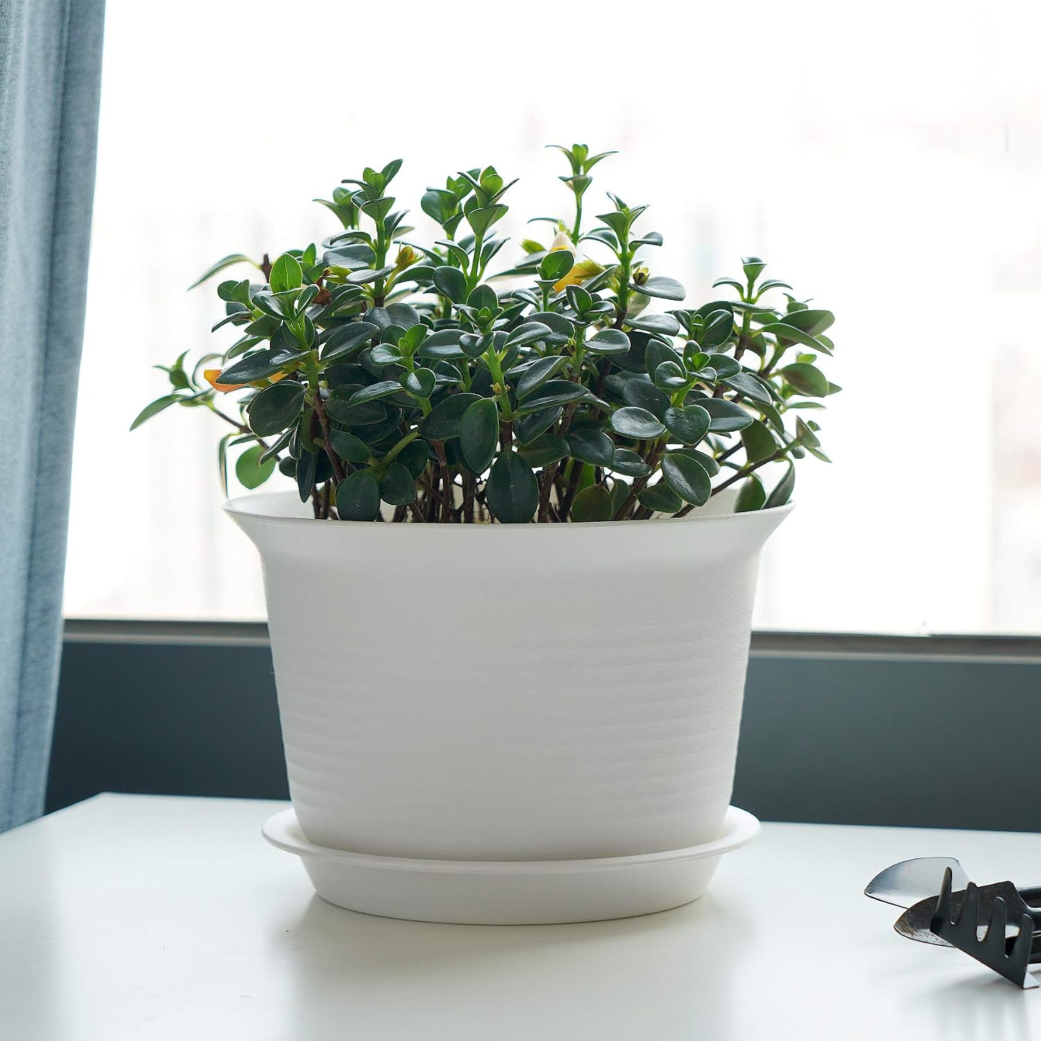 POTEY Plastic Pot 7 Inch Indoor Planter with Drainage Hole and Trays for All House Plants - 007, Set of 5, White