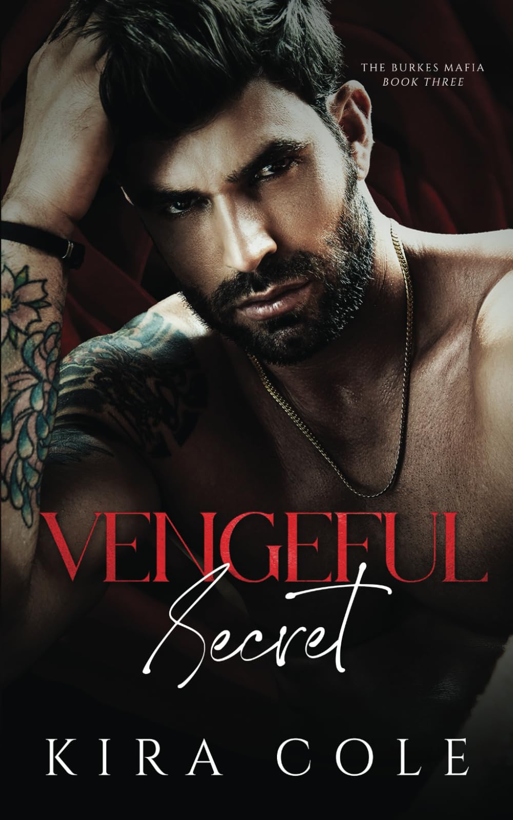 Vengeful Secret: A Secret Baby Mafia Romance (The Burkes Mafia)