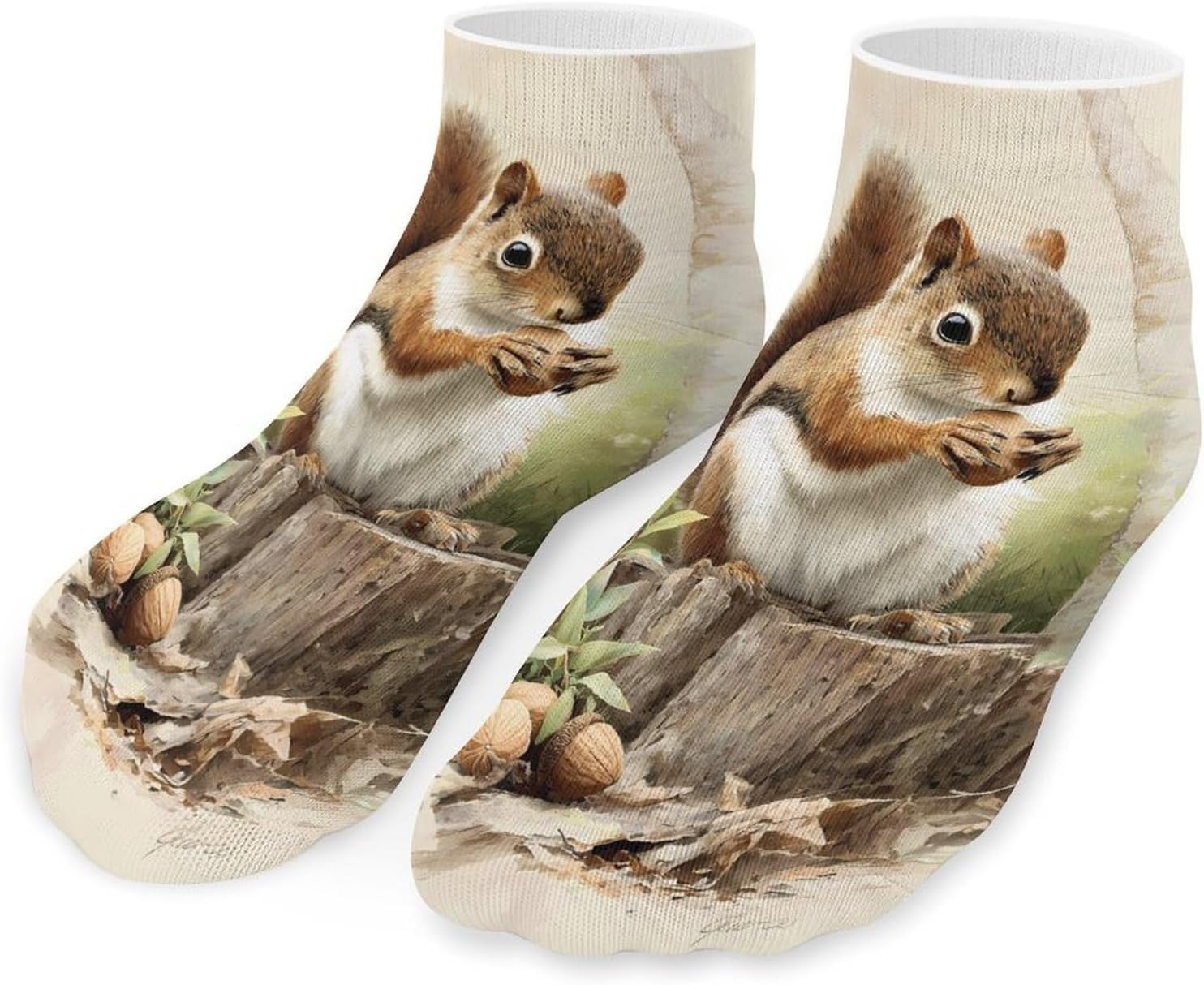 Vintage Squirrel Tree Stump Nut No Show Ankle Socks Low Cut Non Slip Flat Boat Line 5 Pairs Set