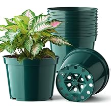 BTPLASTIK 15 Pack 6 Inch Plant Pots with Drainage Holes, Sturdy Plastic Nursery Pots for Plants, Thickened Flower Pots for Indoor Outdoor Planting Transplanting, Succulents, Seedlings, Green