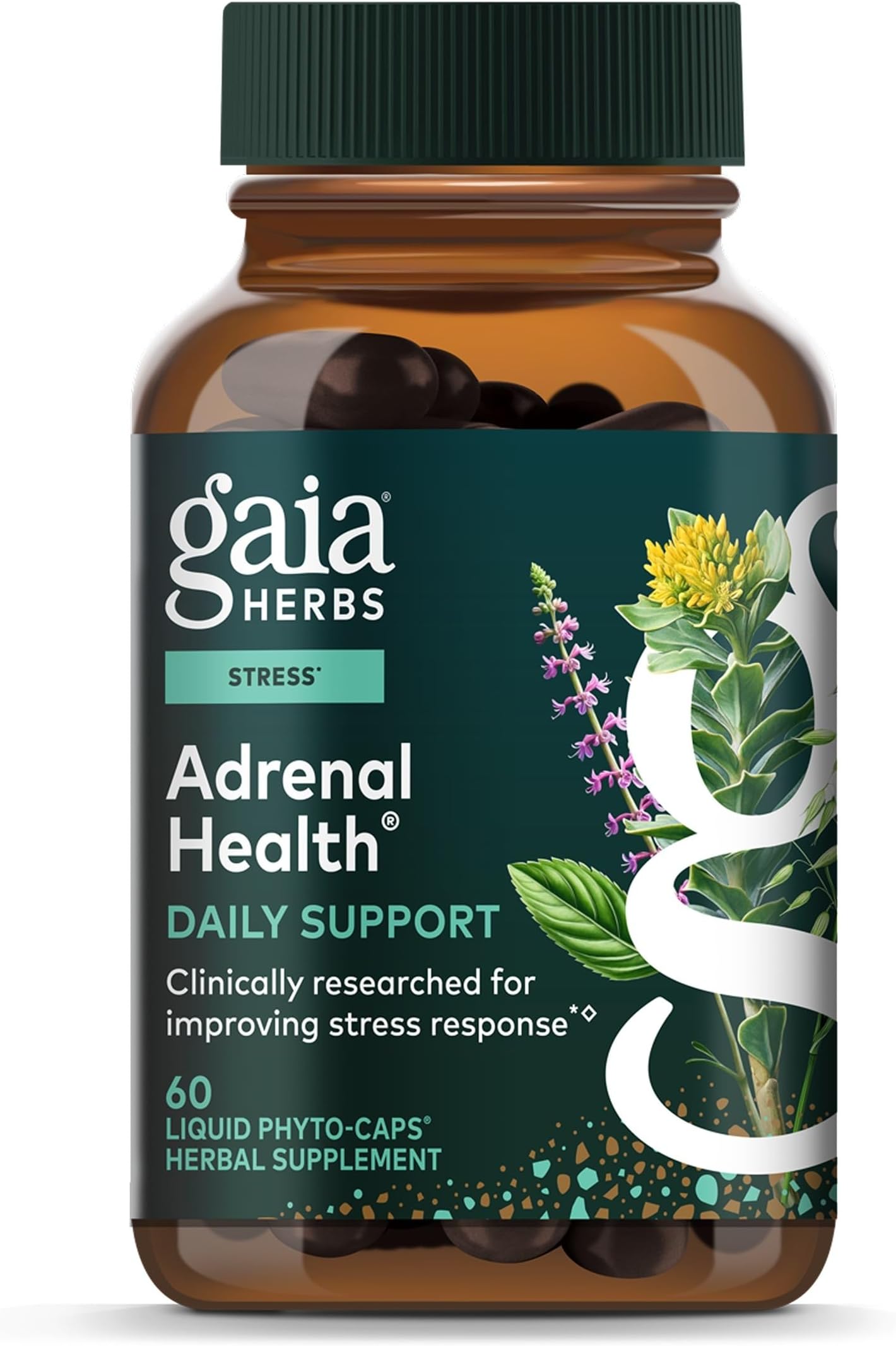 Adrenal Health Daily Support - Herbal Supplement with Ashwagandha, Holy Basil & Schisandra - Help Maintain Healthy Energy & Stress Levels* - 60 Vegan Liquid Phyto-Caps (30 Servings)