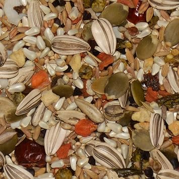 Volkman Avian Science Eclectus Bird Food 4lb