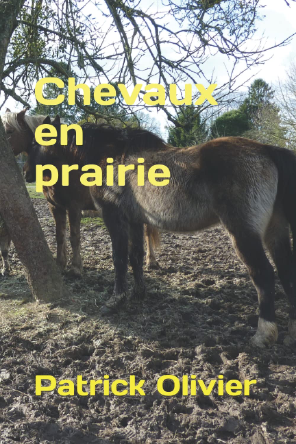 Chevaux en prairie