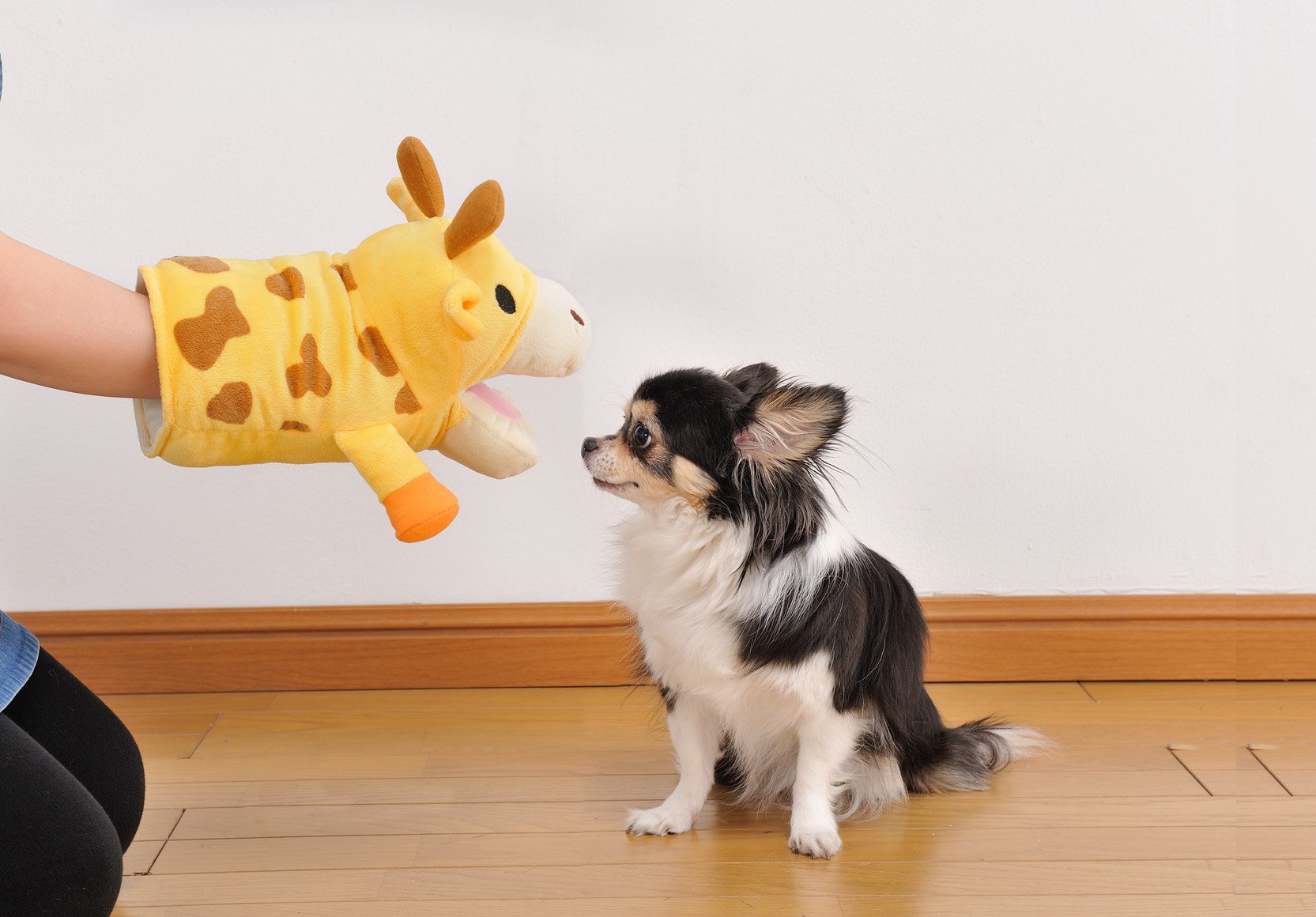 Amazon | ボンビアルコン (Bonbi) 犬用おもちゃ アニマルミトン HAPPY