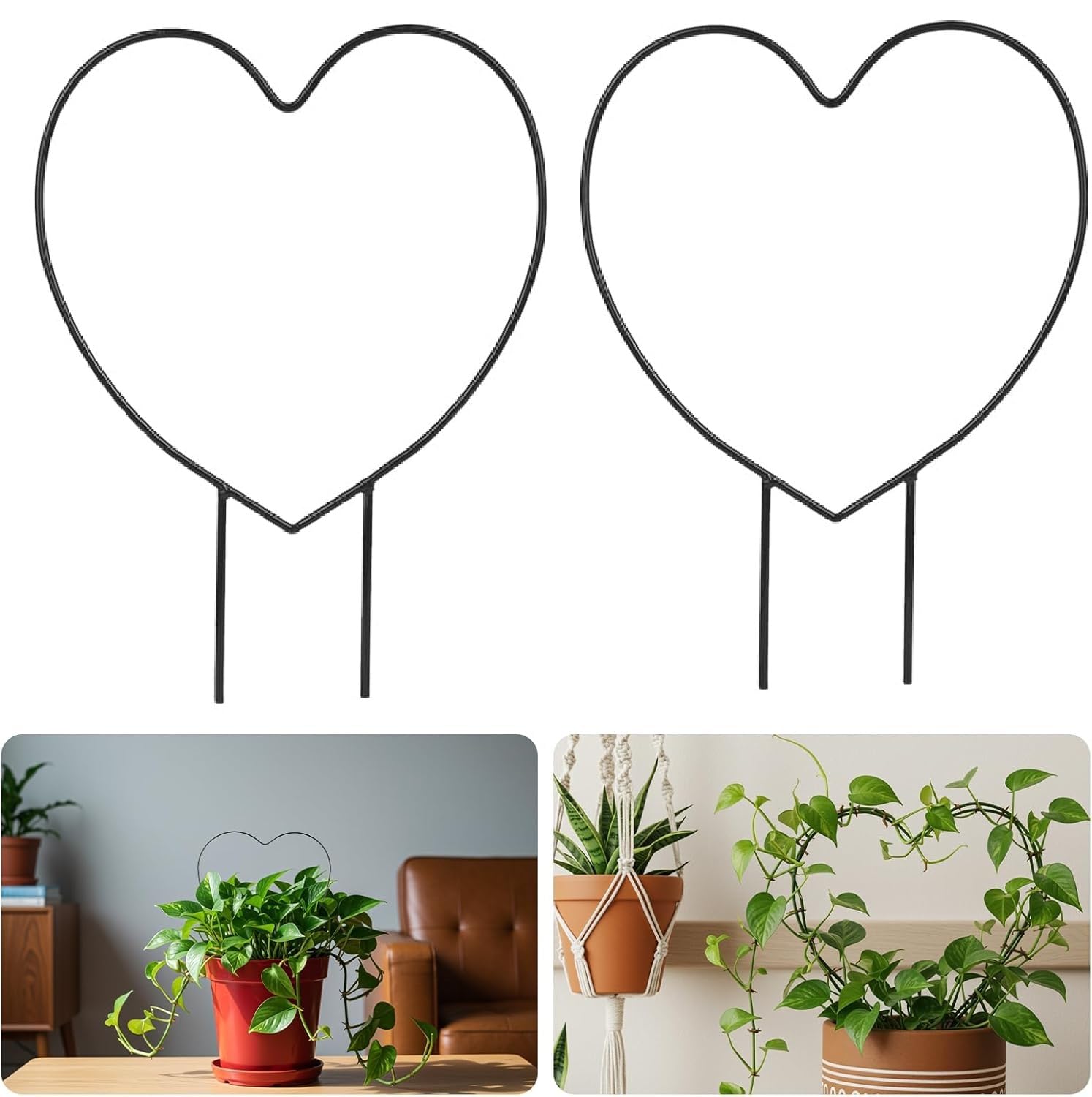 SUNBIRD 2PCS Pothos Plant Climber Support Heart-Shaped Trellis for Climbing Plants Indoor Trellis for Potted Plants Black Durable Metal Iron Support for Vines Flowers (Heart Shaped, Pack of 2)