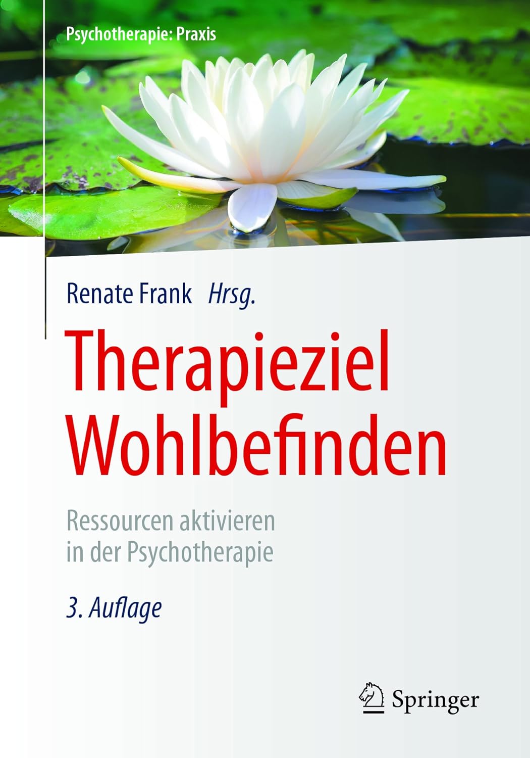 Therapieziel Wohlbefinden: Ressourcen aktivieren in der Psychotherapie ...
