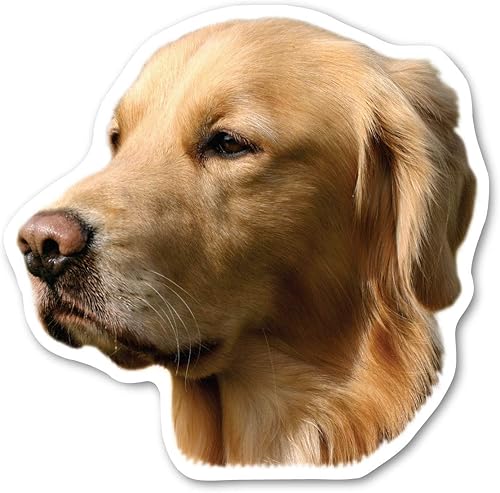 El imán de perro Golden Retriever mide 4.75 x 4.75 pulgadas, hecho para vehículos y refrigeradores