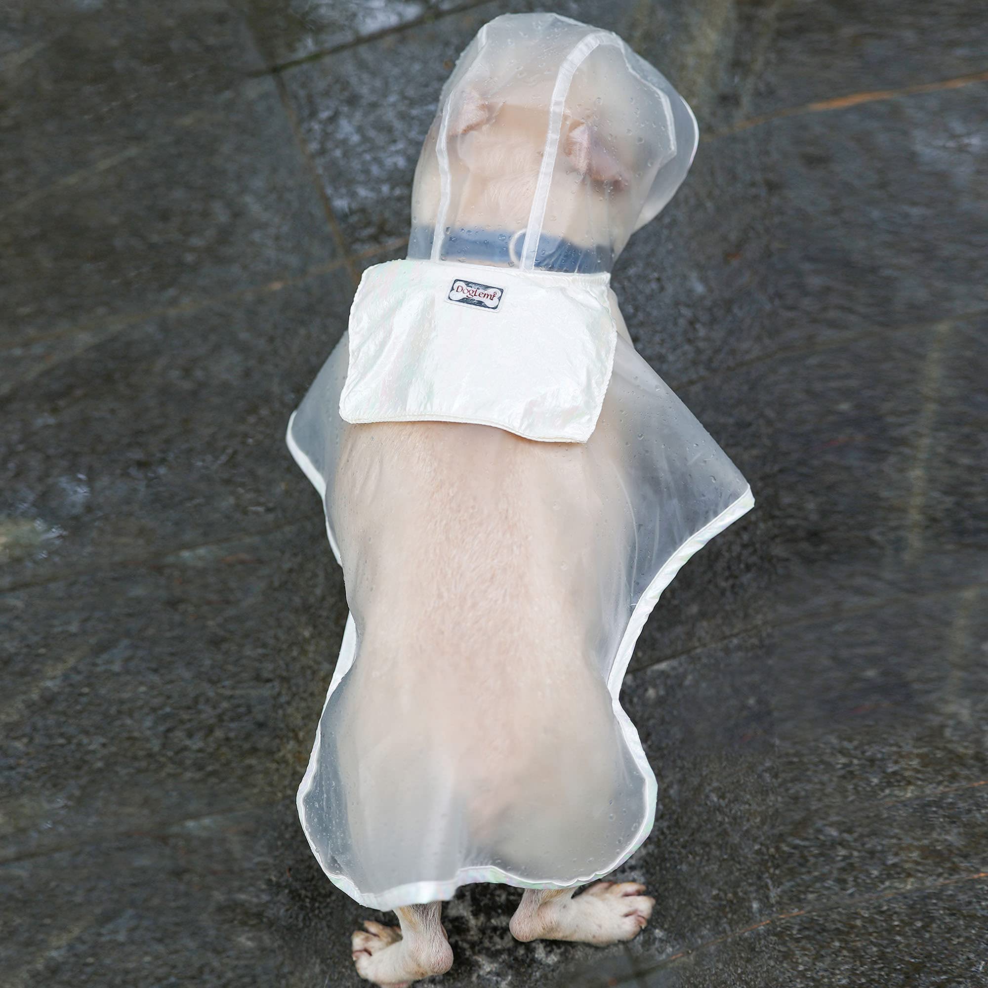 Imperméable pour Chien, léger et Respirant, Portable, Compressible, Transparent pour Chien, Veste de Pluie pour Chiots, Combinaison de Pluie, Poncho (L)