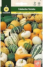 Mascarell Seeds, Zucchini of Varied Ornament, Seeds Flowers Outdoor for Decoration, 4 g