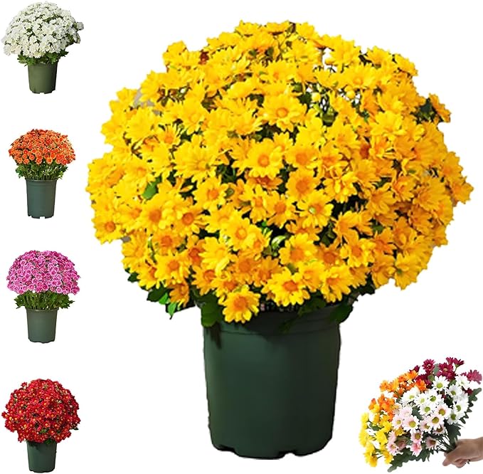 Amazon.com: Artificial Mums for Outdoors, Realistic Fall Fake Mum ...