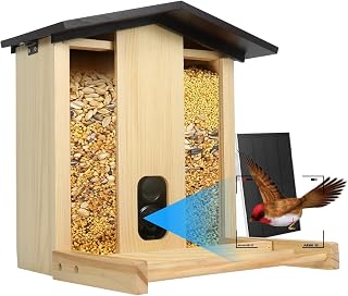 Bird Feeder with Camera Solar Powered for Outdoors