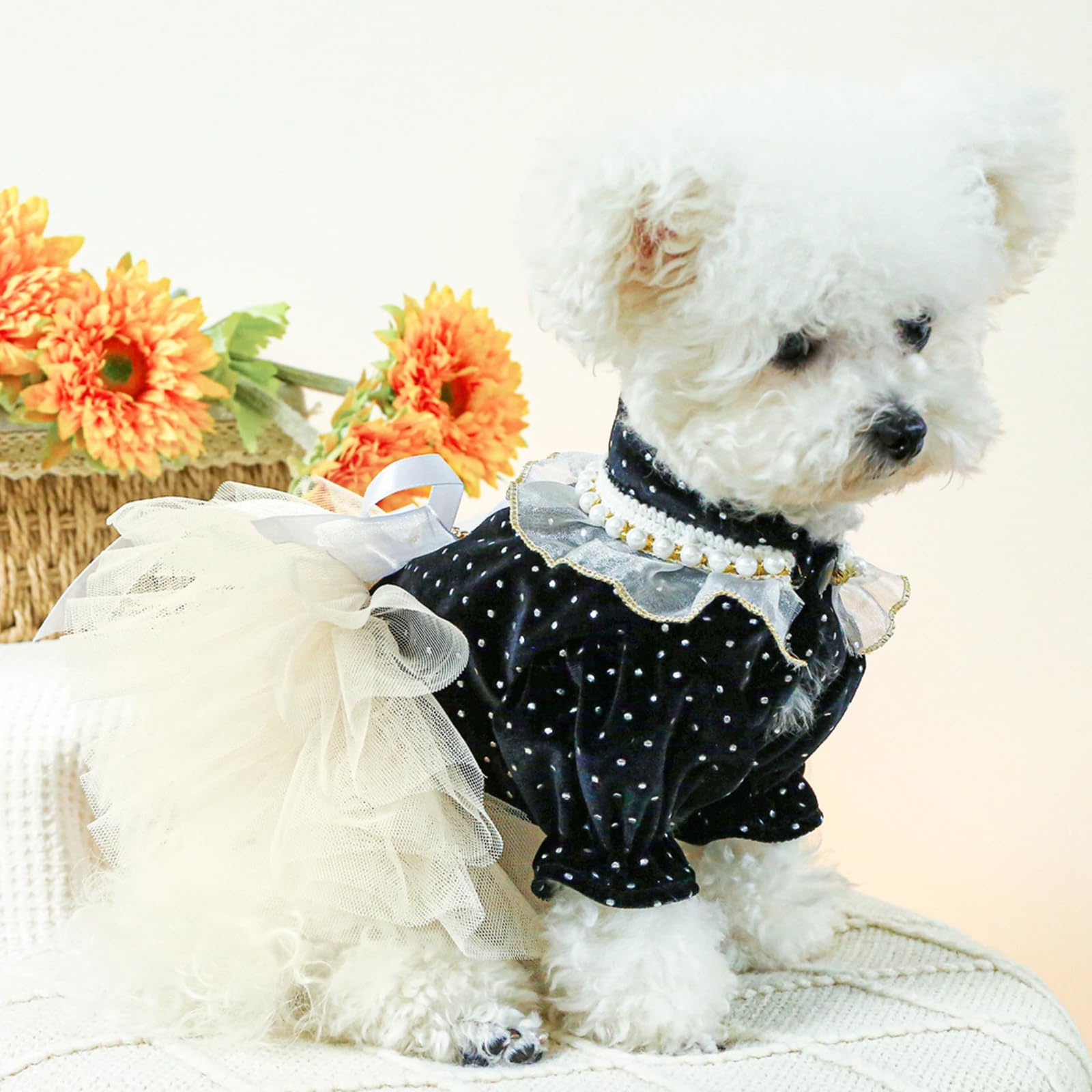 Golden Retriever Dress Dog Dress From I Feel Pretty Lace Dog