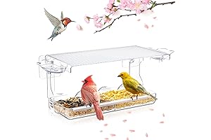 Window Bird Feeder for Outdoor Viewing